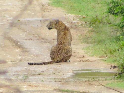 WhatsApp-Image-2024-12-03-at-15.47.56 2563ffce